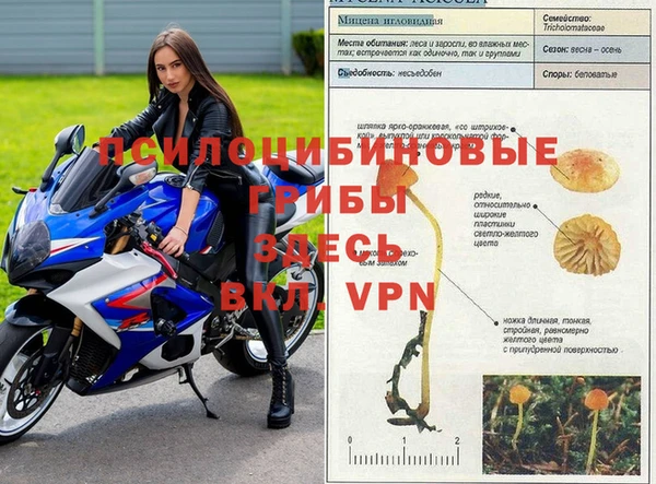 мяу мяу кристалл Баксан