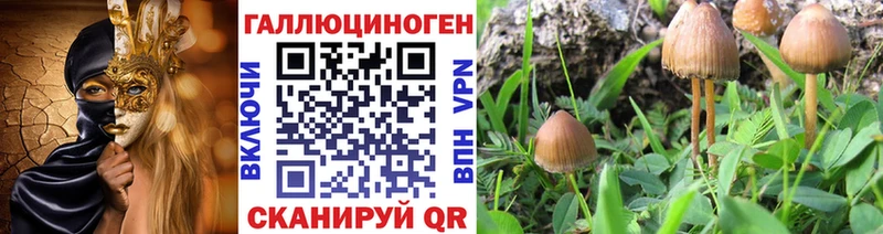 Псилоцибиновые грибы прущие грибы  купить наркотики цена  Велиж 